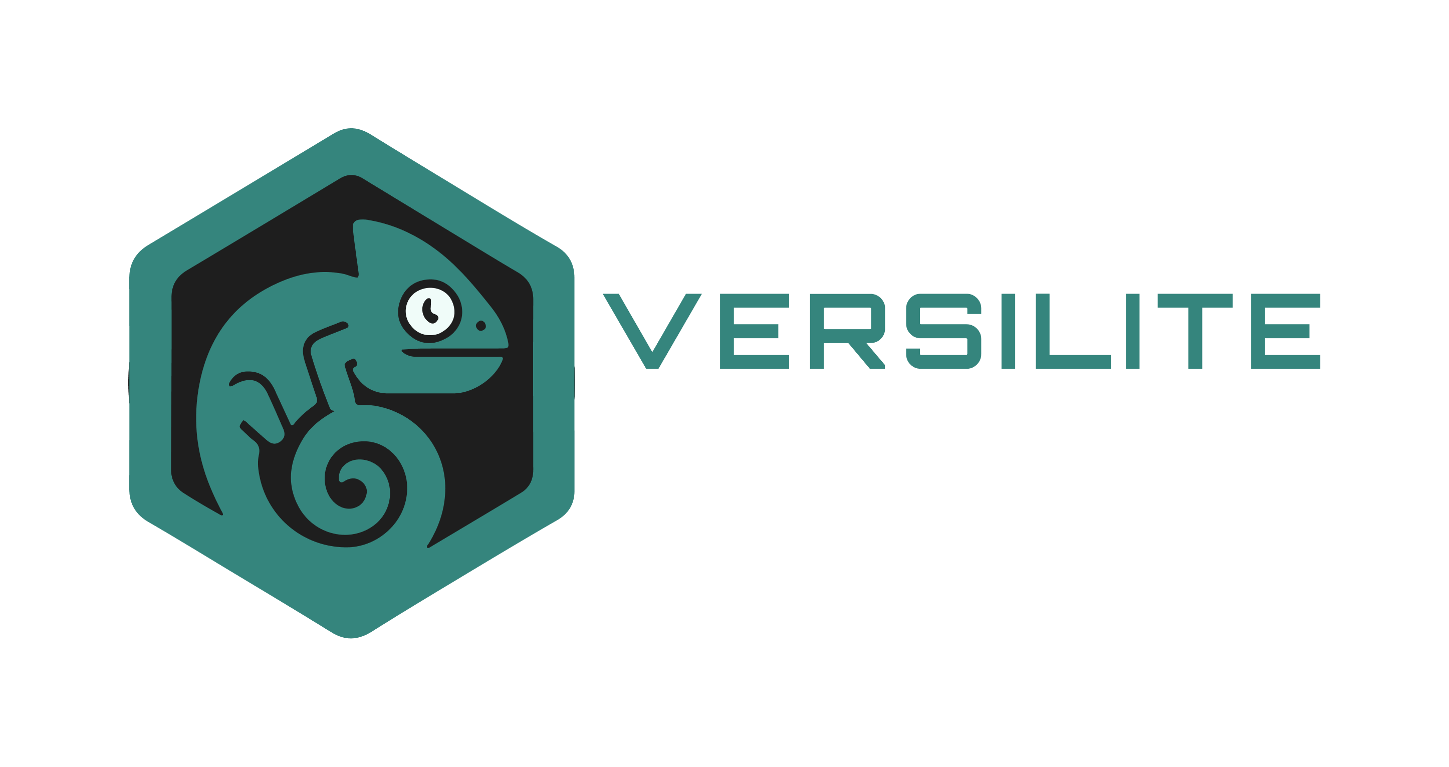 Logo of Versilite